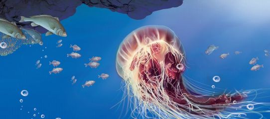 海洋科普 | 哇!它們居然是這種關系